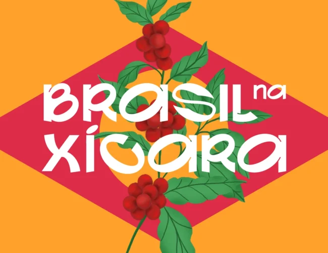 apresentacao-brasilnaxicara-46 copiar